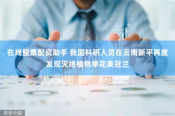 在线股票配资助手 我国科研人员在云南新平再度发现灭绝植物单花美冠兰