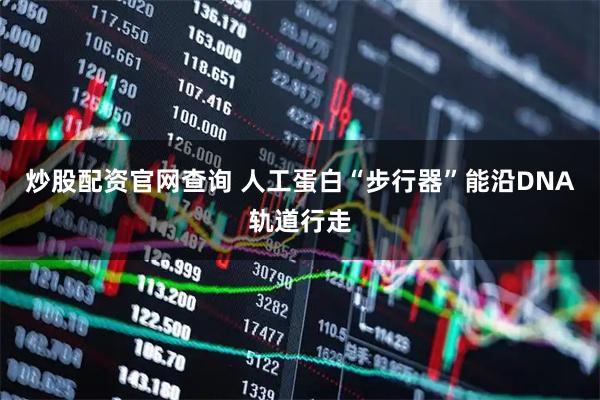 炒股配资官网查询 人工蛋白“步行器”能沿DNA轨道行走