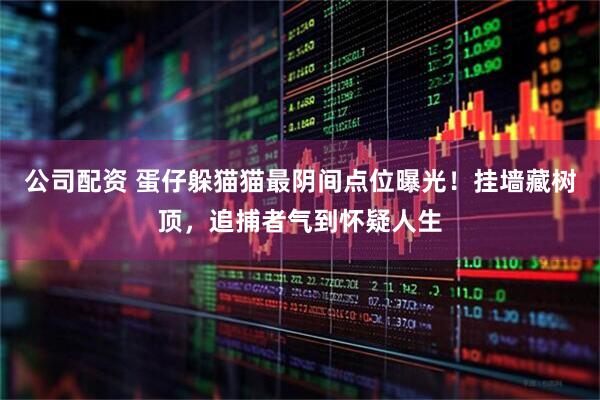 公司配资 蛋仔躲猫猫最阴间点位曝光！挂墙藏树顶，追捕者气到怀疑人生